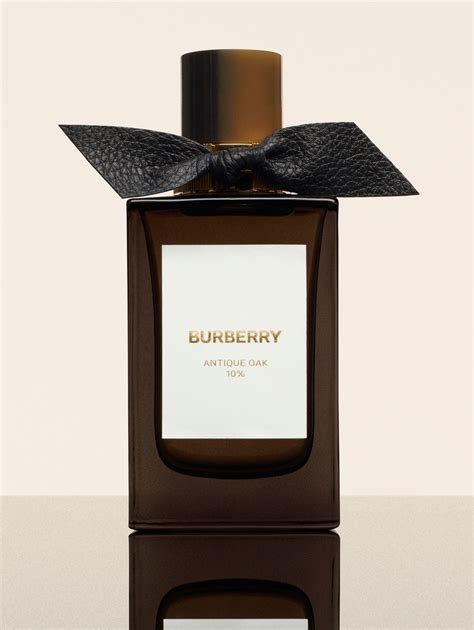 paletots burberry|burberry signatures for men.